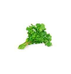 Coriandre (1botte)