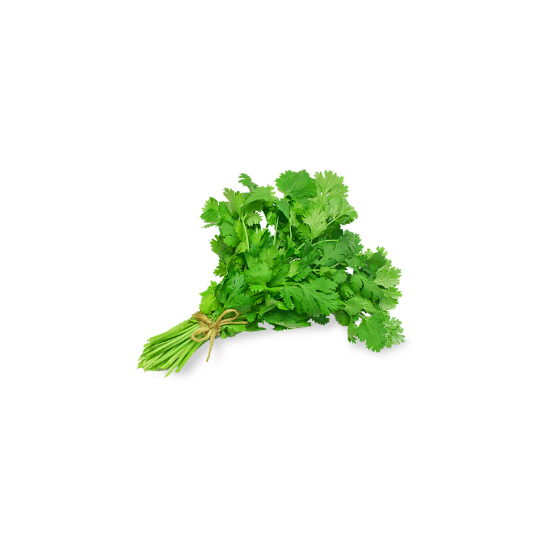 Coriandre (1botte) Coriandre (1botte)