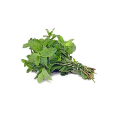 Menthe (bottes)