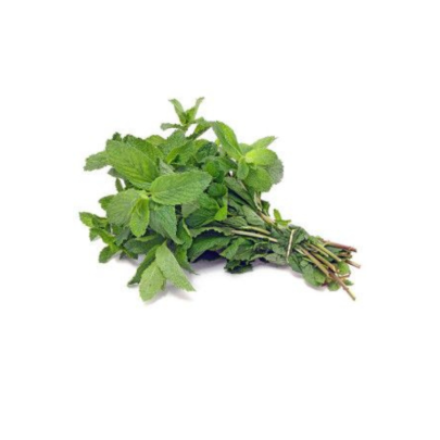 Menthe (bottes)